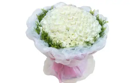 【万花林团购】万花林99朵玫瑰白/香槟团购 - 清远拉手网
