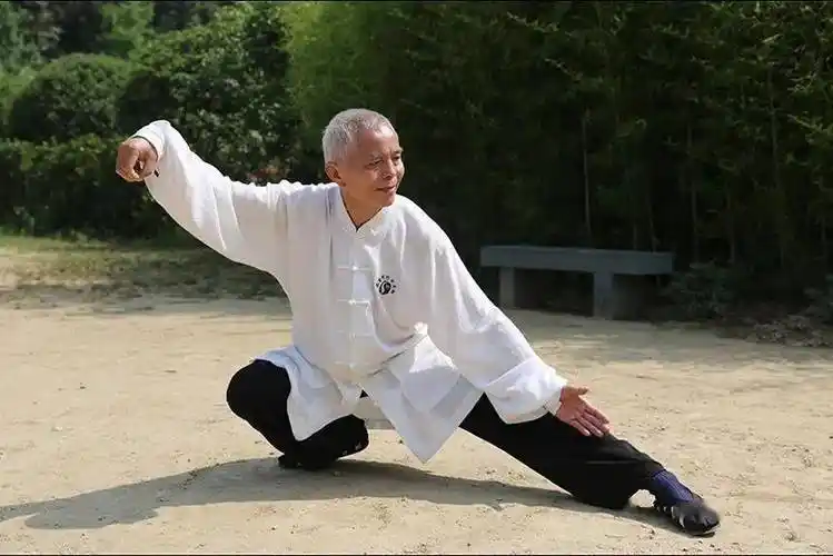 太极名师冯志强:要练好太极拳,还要做到以下三点_混元_丹田_功夫