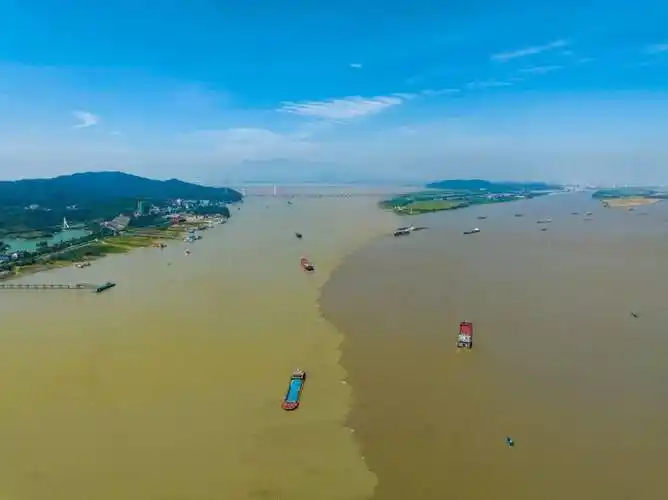 7月11日,在江西省九江市湖口县,长江与鄱阳湖交汇处出现江湖两色倒置