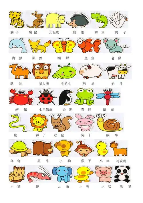 认识动物图片_第1页