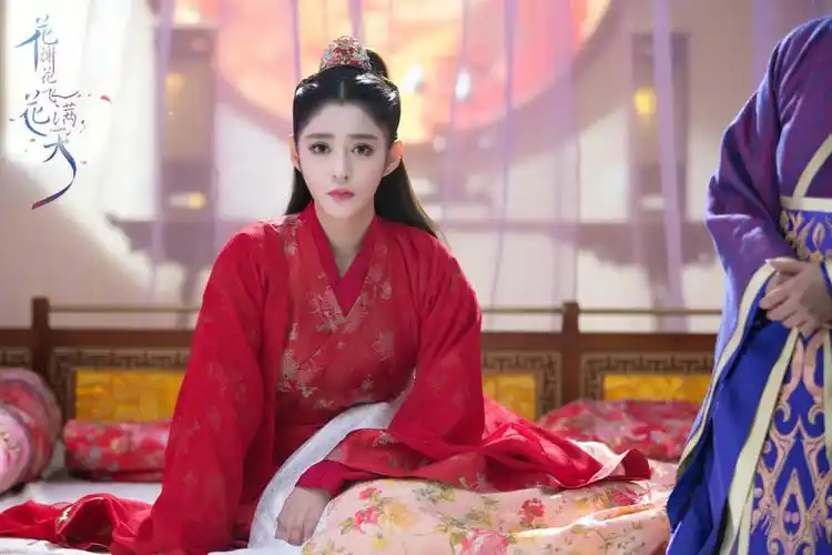 花谢花飞花满天剧照