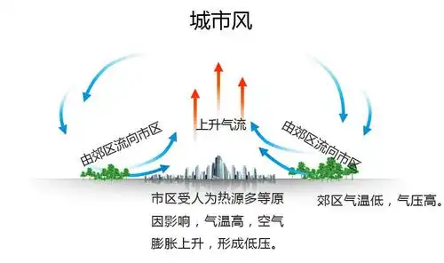 热岛效应,雨岛效应