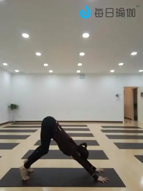 艾扬格正位瑜伽之精进篇每日瑜伽