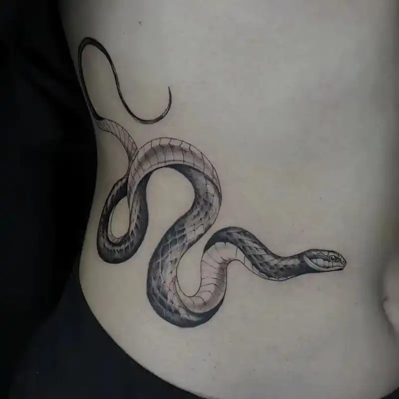 omg!蛇纹身素材作为侧腰纹身太好看了!