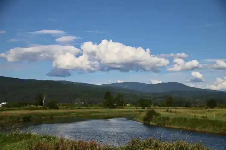 春夏的pitt grassland,青草野花芳香,河水平静如镜,清静祥和,空气清新