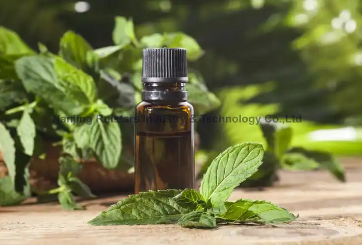 peppermint oil(purple peppermint) 100% natural plant extracts