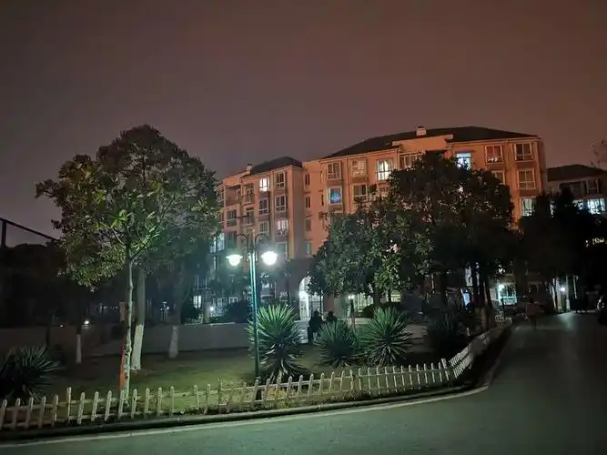 小区夜晚漫步