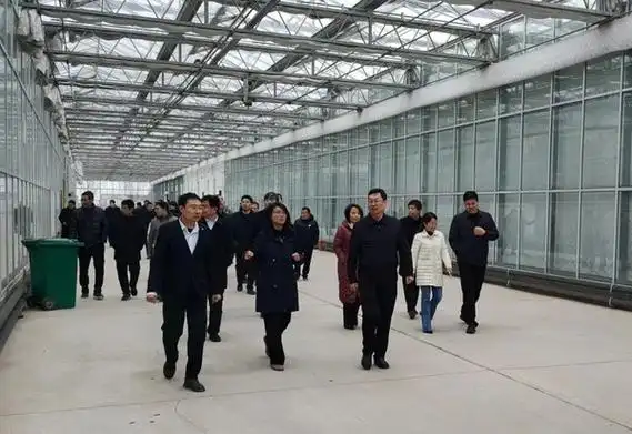 魏晓峰一行到南和区观摩学习和美乡村建设先进经验