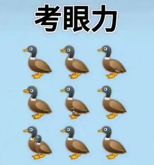 考眼力,看看下面图片有几只鸭子jpeg,737x690,34488b成语玩命猜甜字