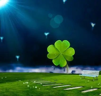 四叶草代表什么,四叶草被称为幸运草