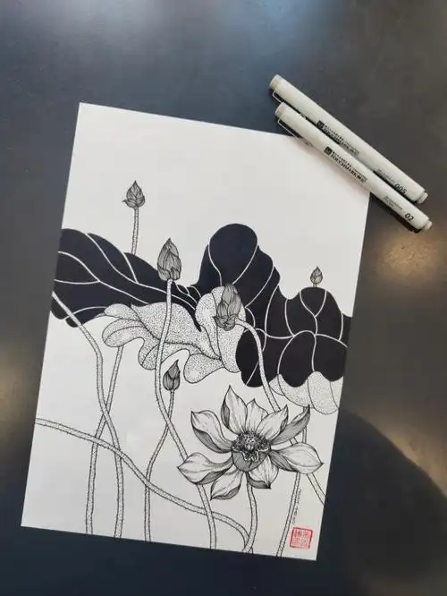 绘画练习黑白装饰画荷花临摹