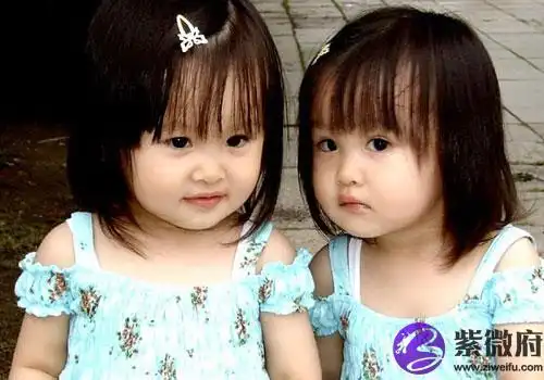 胡姓双胞胎姐妹花富有诗意的名字