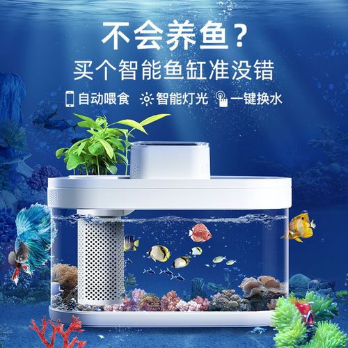画法几何鱼缸生态懒人小型客厅pro版防摔儿童亚克力生态水族箱