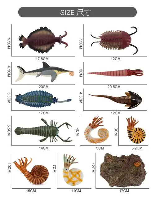 远古海洋生物模型儿童认知科教仿真实心动物螺虾鱼龙甲鱼摆件套装