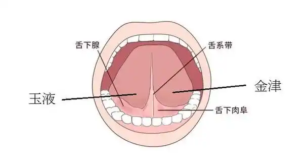 舌头上有裂纹是什么病症征兆舌头裂口子是怎么回事