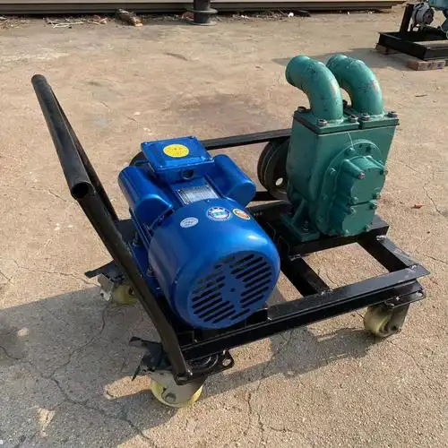 舒兰鸭子棚电动抽粪泵化粪池抽粪泵