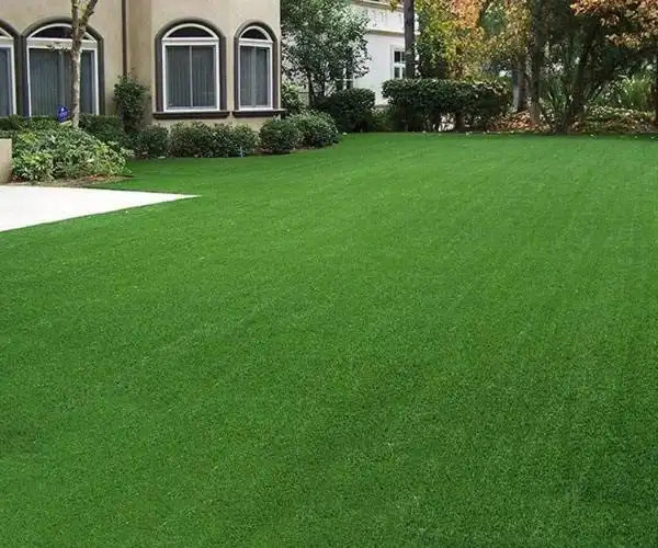 任丘市绿美亚人造草坪厂-供求信息企业商讯产品中心