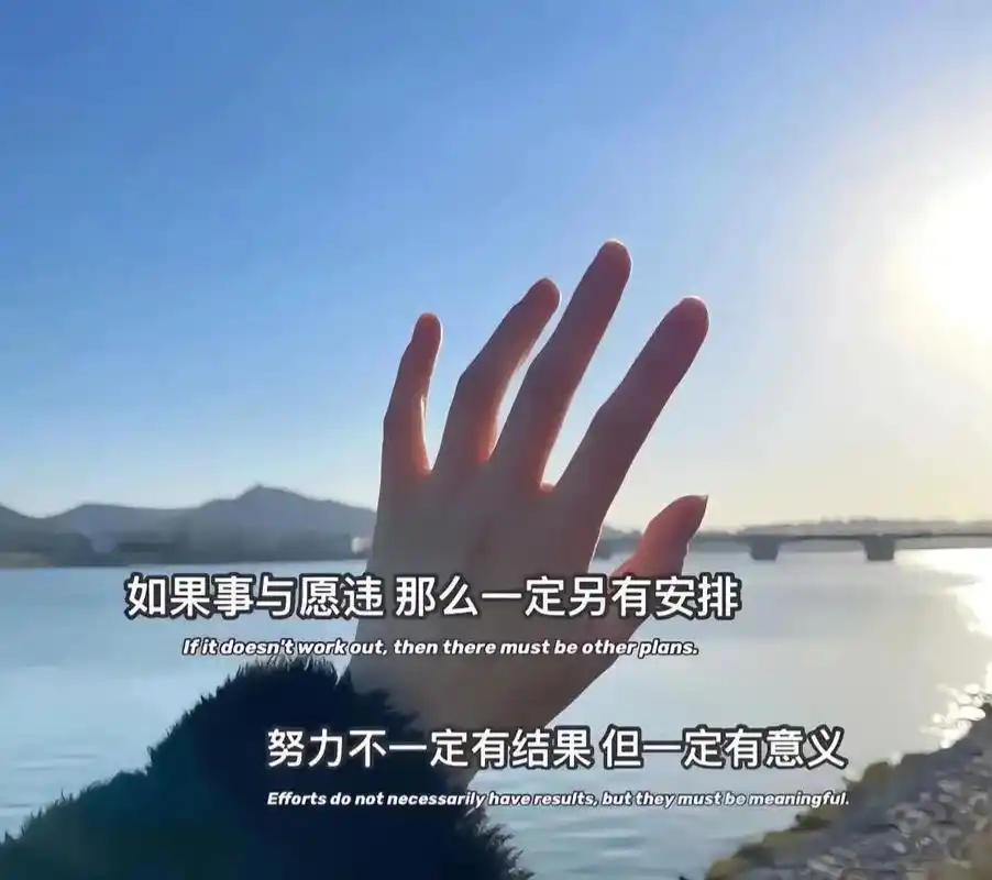 "我从未对你虚情假意,只想好好珍惜你"#背景图#文案背景图