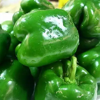 【图解】青椒鸭脯肉怎么做好吃_青椒鸭脯肉_家常做法大全_豆果美吵