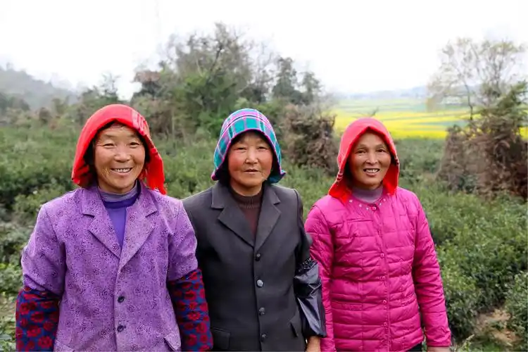 其它 海盐头巾 写美篇头巾土话叫兜头,海盐农村中老年妇女头上常见的