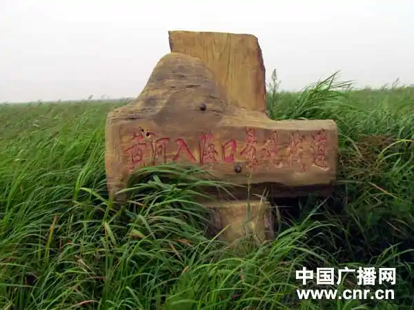 走进齐鲁采风行之东营探寻黄河从这里入海(图)