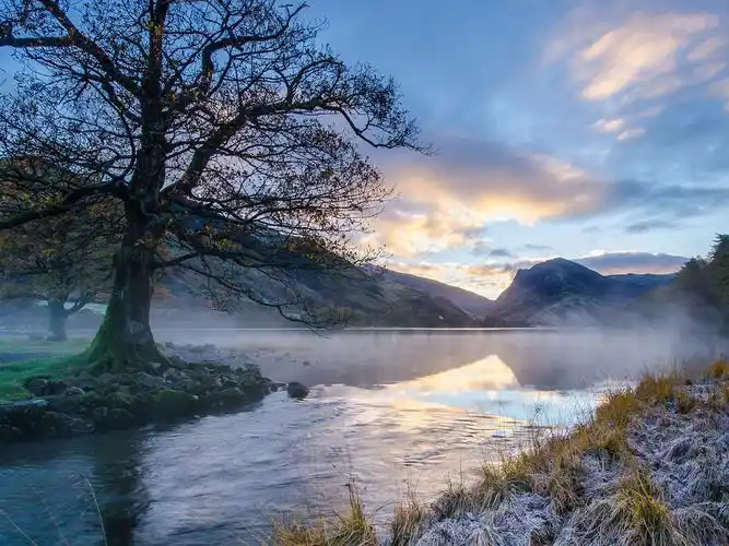 唯美森林意境,高清图片,电脑桌面-壁纸族