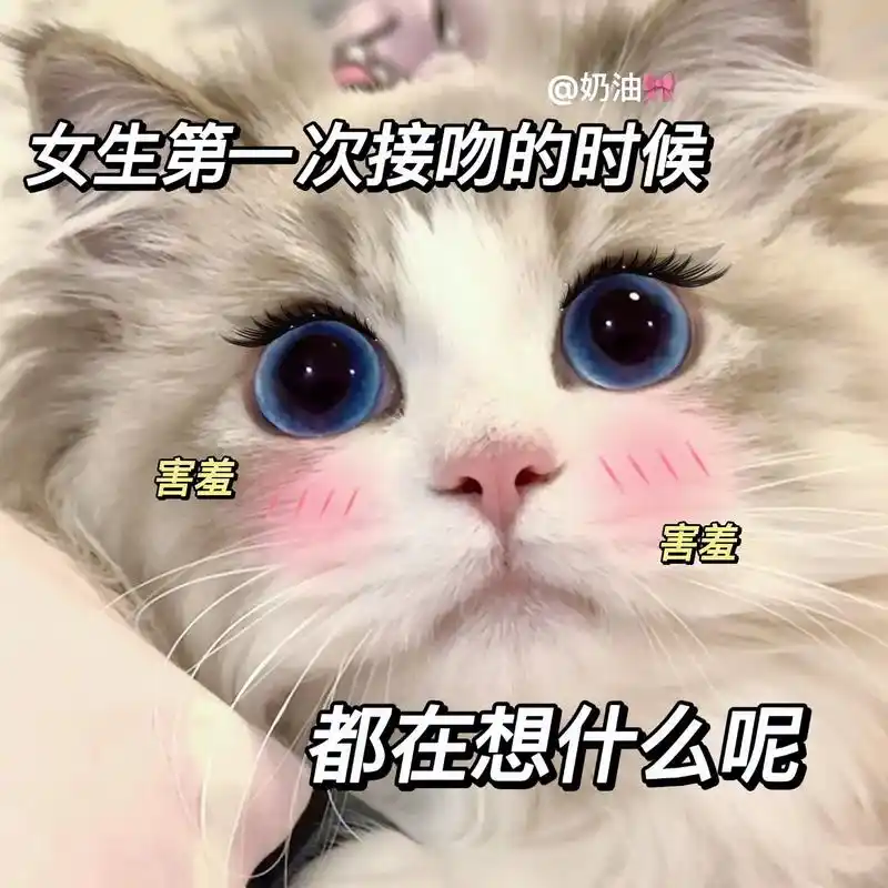 女生第一次亲亲在想什么呢?#猫咪表情包 #发给对象表情包 # - 抖音