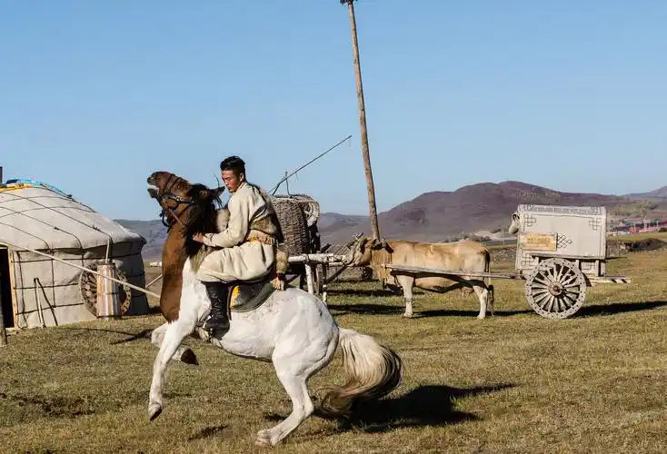 草原蒙古人家～～坝上草原秋色(3)