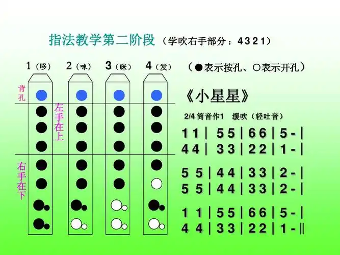 八孔竖笛指法示意图