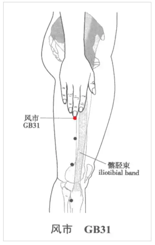 学经络——足少阳胆经 - 好大夫在线