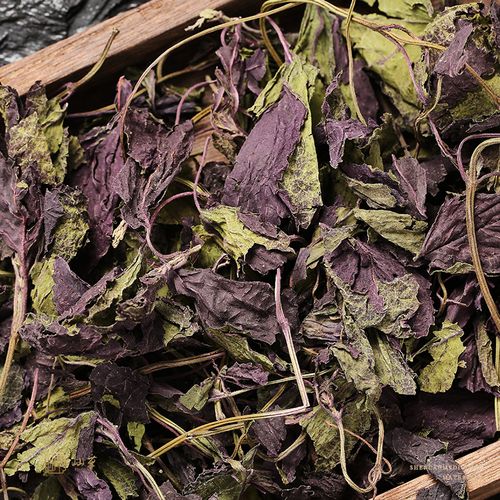 紫苏叶苏叶100克中药泡脚食用泡茶中药材紫苏