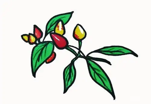 简笔画小辣椒树