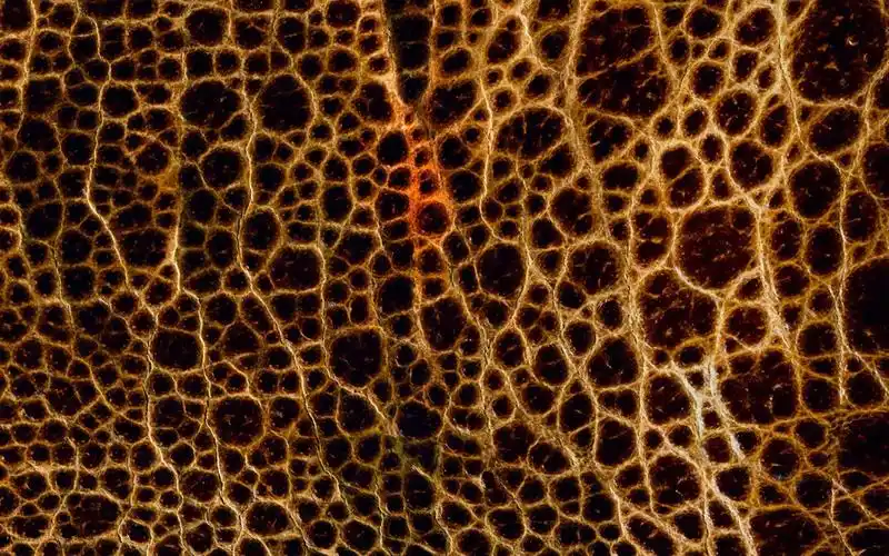 收藏 关键词:镂空复古网状背景图片下载,复古镂空,网状,时尚创意壁纸