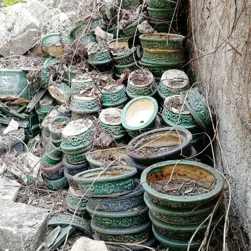 共1505 件老旧花盆相关商品