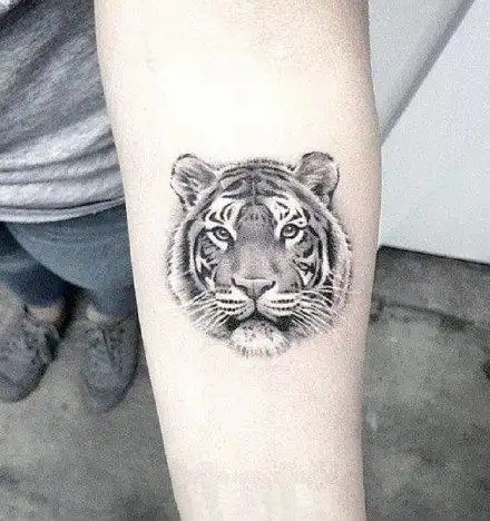 超好看的一组老虎头纹身图案3