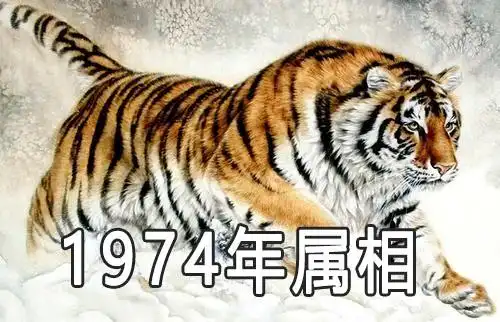 1974年多大1974年出生的属什么
