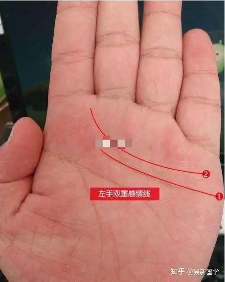 感情线不宜过多