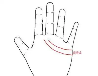 双箕斗纹的人命运如何?