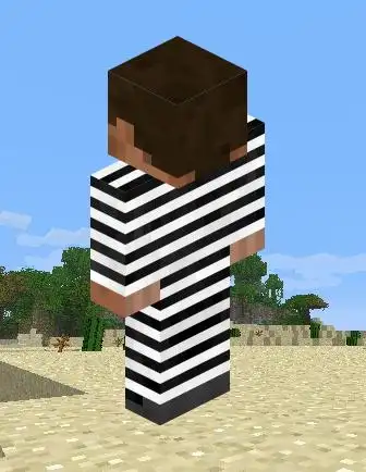 史蒂夫囚犯皮肤,乞丐说标题要长