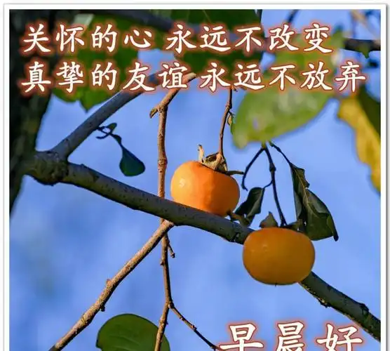 最贴心早安问候图片早安心语祝福问候语