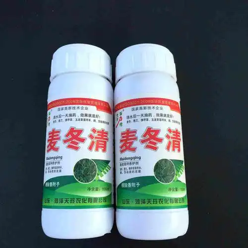 麦冬清 麦丛净 麦冬葱兰佛甲草专用除草剂