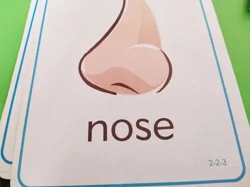 nose的中文
