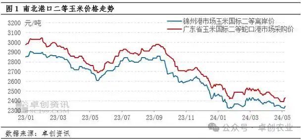 玉米市场贸易心态好转 东南沿海价格趋强运行