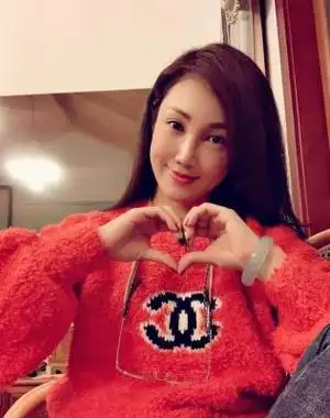 青年歌手王燕简历 韩磊老婆王燕资料 - 歌词译