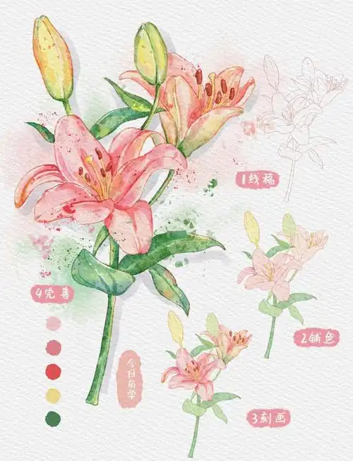 水彩教程百合画法