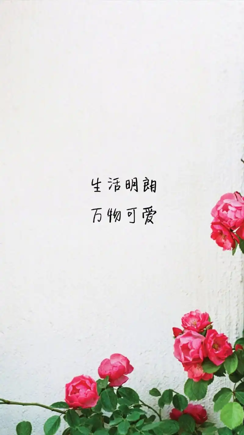 唯美情感语录图片手机壁纸