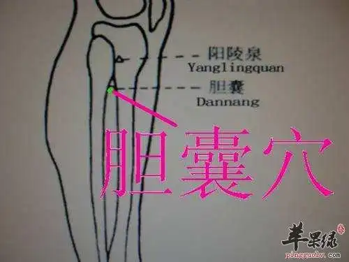 胆囊穴的具体位置 推荐按摩的好方法