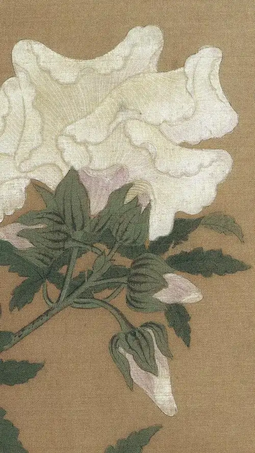 【高清图库】宋 李大忠《秋葵图》