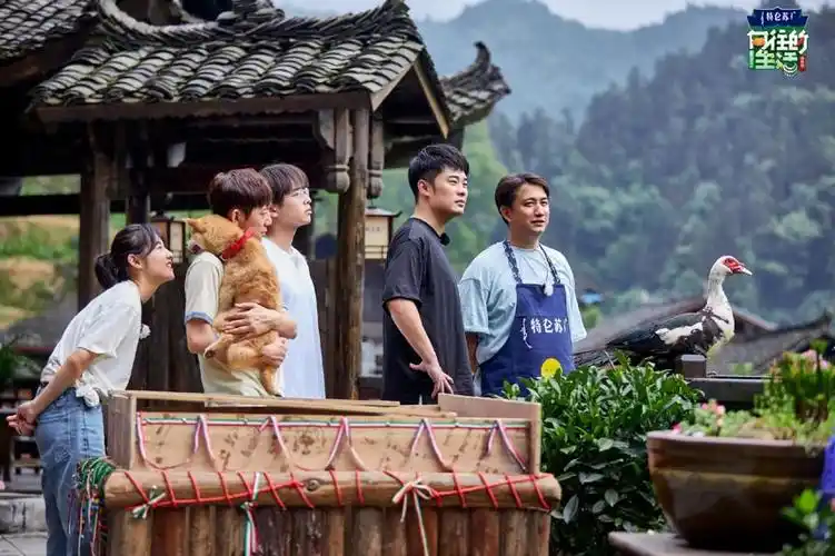 《向往的生活3》收官:加快了步伐的生活,还值得向往吗?