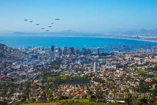 开普敦市的全景